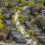 TRREB Market Watch: Affordability gains ground across the GTA